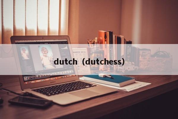 dutch（dutchess）